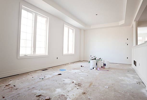 Best Basement Mold Removal  in Lovettsville, VA