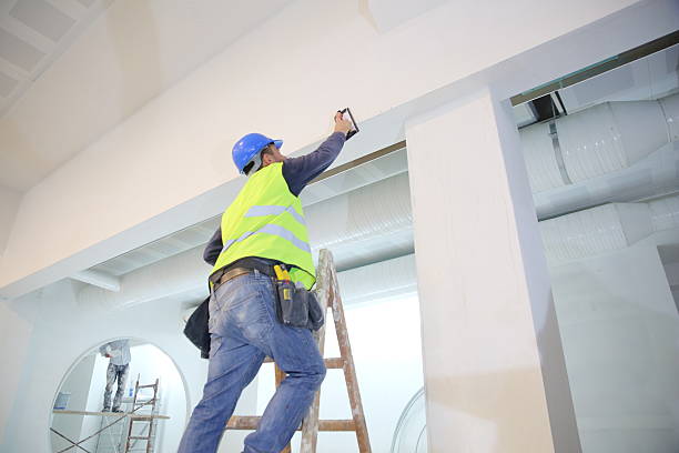 Best Black Mold Removal  in Lovettsville, VA